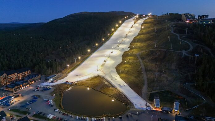 Levi in questi giorni